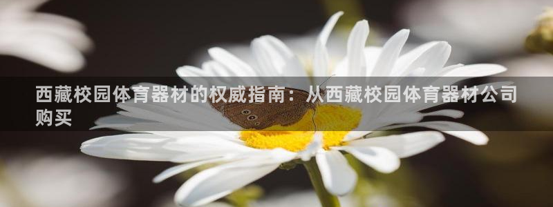 极悦平台官方网站入口网址