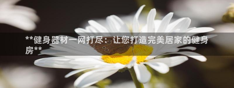 极悦平台官网登录不了