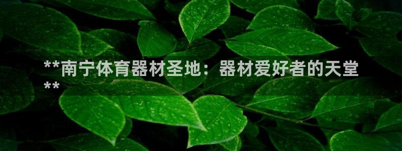 极悦平台官网登录不了