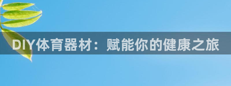 极悦官网首页：DIY体育器材：赋能你的健康之旅