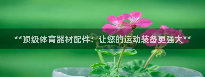 极悦娱乐官网入口：**顶级体育器材配件：让您的运动装