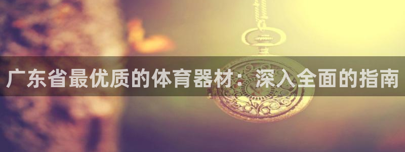 极悦平台代理怎么做：广东省最优质的体育器材：深入全面