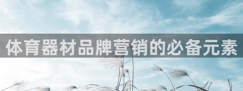 极悦娱乐的创始人背景故事：体育器材品牌营销的必备元素