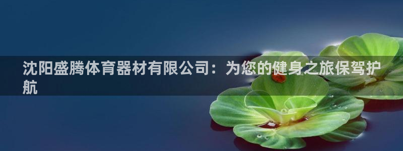 极悦平台用户评价与反馈:沈阳盛腾体育器材有限公司:为您的健身