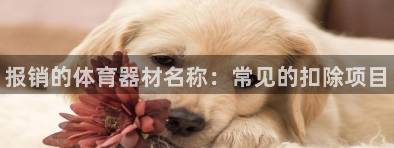 极悦娱乐官方网站首页:报销的体育器材名称:常见的扣除项目