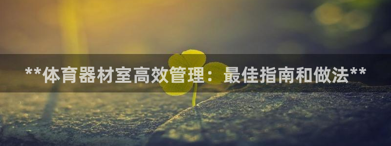 极悦娱乐的创始人背景故事介绍:**体育器材室高效管理:最佳指