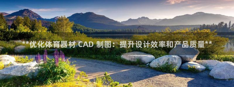 极悦牙膏怎么样知乎:**优化体育器材 CAD 制图:提升设计