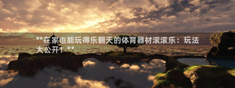 极悦平台平台注册方法与步骤图:**在家也能玩得乐翻天的体育器