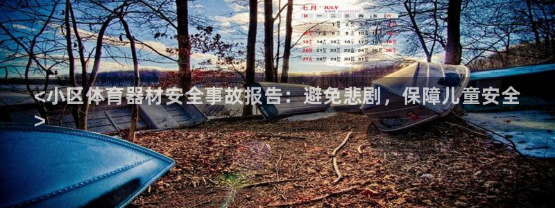 极悦平台登录最新版本更新内容怎么删除:<小区体育器材安全事故
