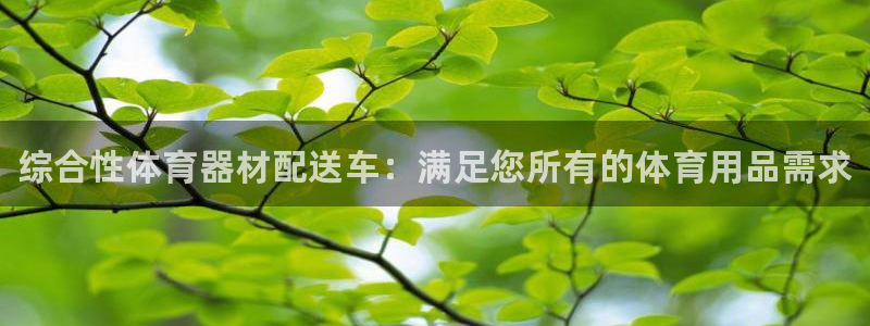 深圳极悦文化传媒有限公司:综合性体育器材配送车:满足您所有的